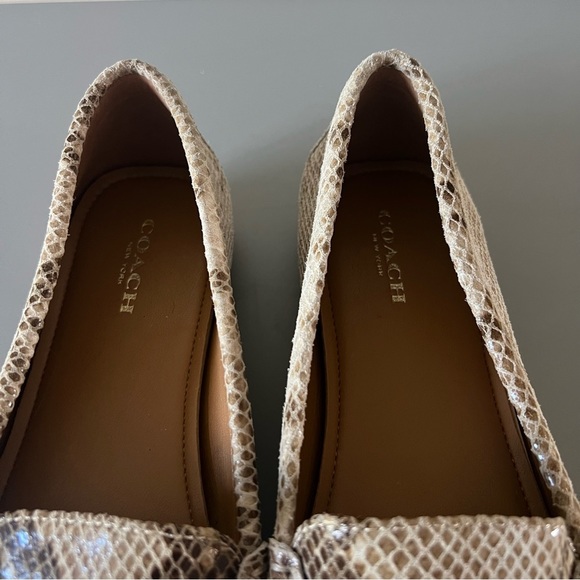 Coach‎ Olive Snakeskin Print Loafers - Picture 8 of 10